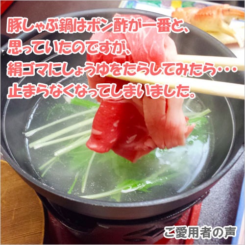 ɸ 160g12