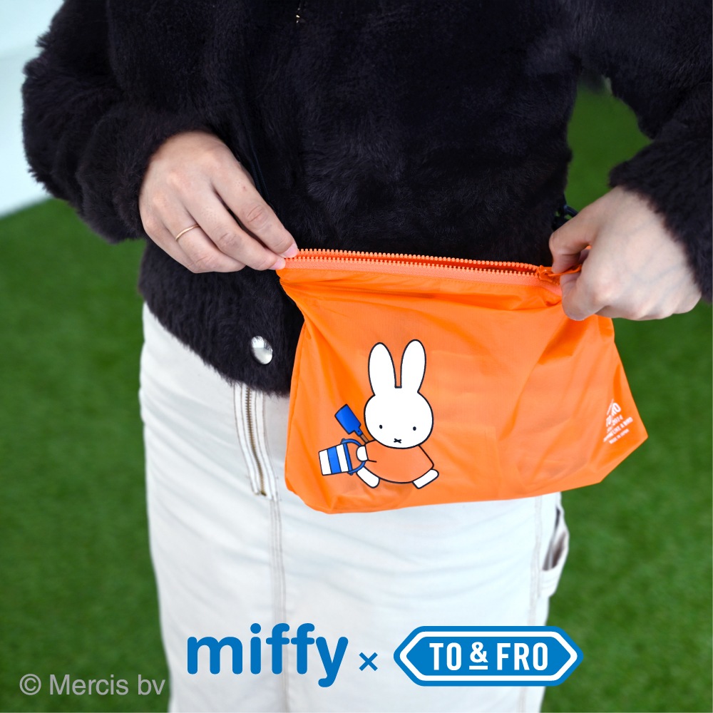 �ߥåե��� ����ƥ���åȥ饤�ȥ������� MINI ��������