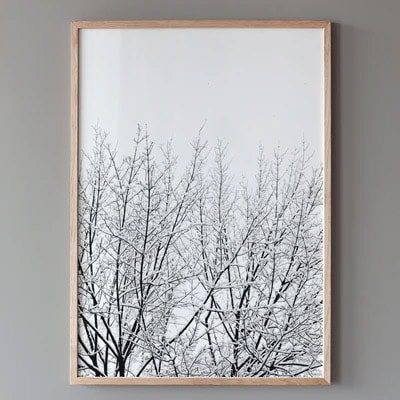 Coco Lapine Design　SNOWY TREE アートプリントポスター 30x40cm 50x70cm　ベルギー／ドイツ