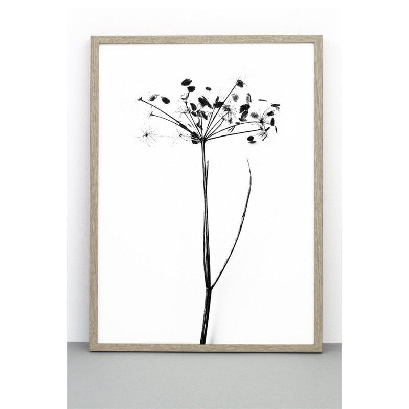 【復刻しました】ONE MUST DASH by nest ハナウド 花独活 アートポスター I DO I DO I DO 30x40cm