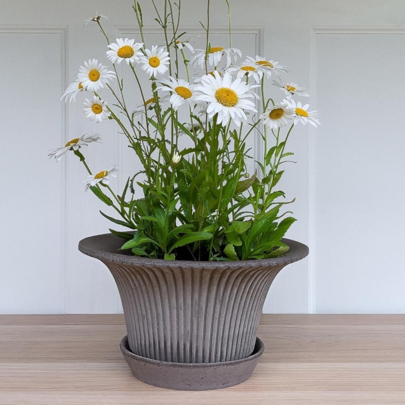 Bergs Potter 植木鉢 Daisy グレー φ25cm 受け皿付き 素焼き 北欧 デンマーク