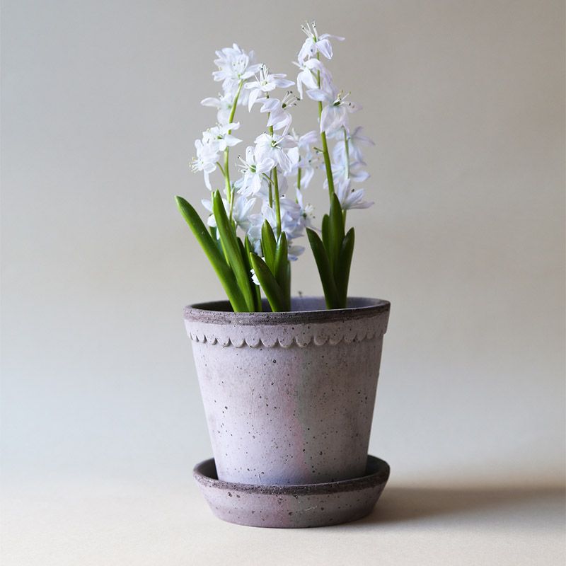 Bergs Potter 植木鉢 Helena グレー φ18cm 受け皿付き 素焼き 北欧 デンマーク