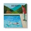 DAVID HOCKNEY by ǥåɡۥåˡ ʽ ν ҡơ֥֥å եȥС