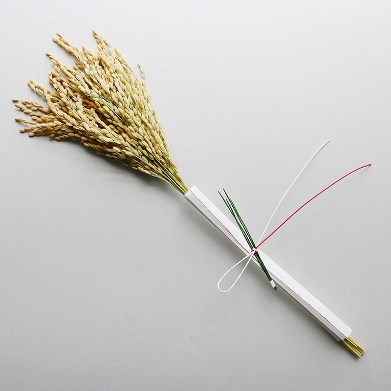 稲藁研究所 稲穂飾り「みのり結び」INAKEN 日本