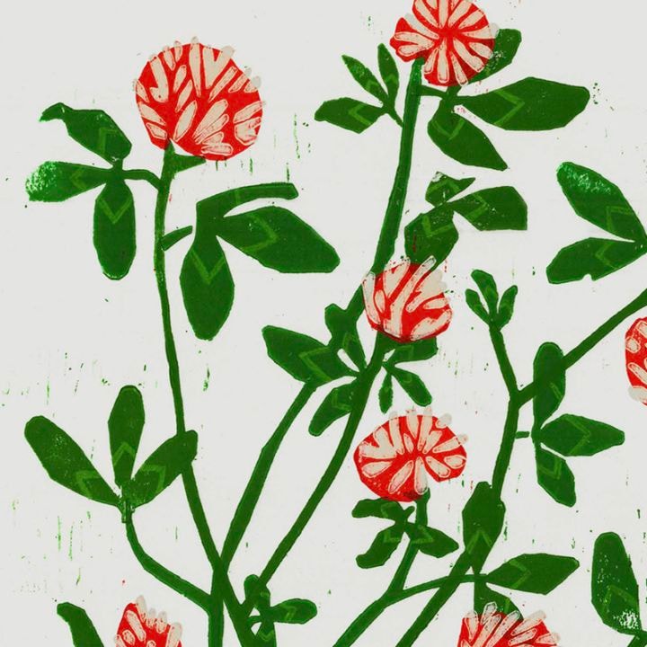 Fine Little Day クローバーの花 ポスター 30x40cm ファインリトルデイ 北欧 スウェーデン