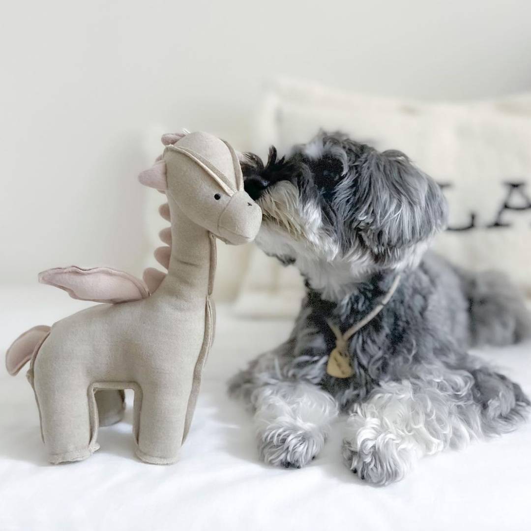 maxbone ドラゴン ぬいぐるみ 犬用おもちゃ マックスボーン アメリカ