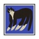 THE POSTER CLUB Cat in Blue 50x50cm ȥݥ ̲ ǥޡ