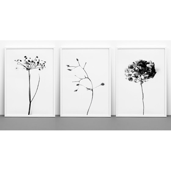 北欧モダン雑貨のオンライン通販｜nest の【復刻】ONE MUST DASH by