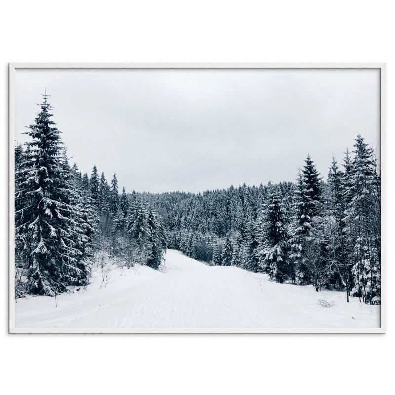 Coco Lapine Design ݥ Winter Wonderland 70x50cm ٥륮 ɥ