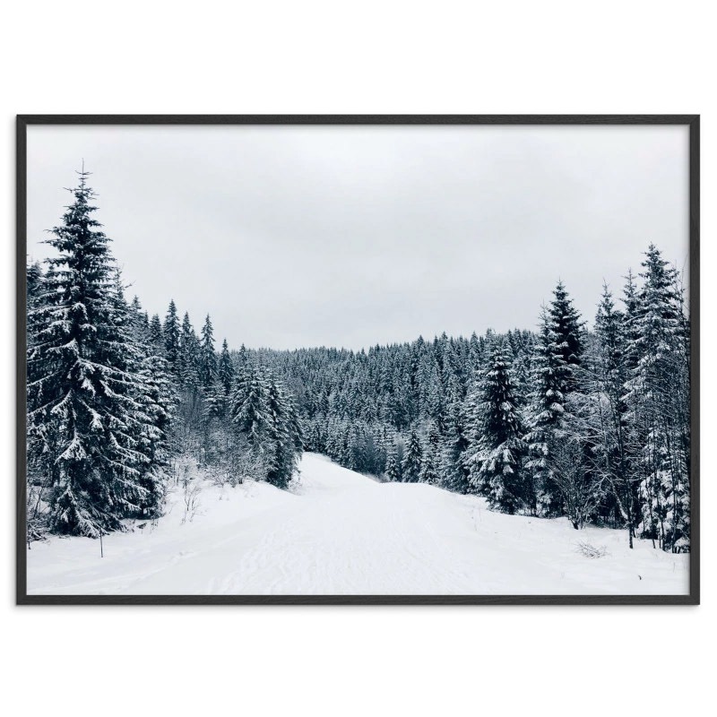 Coco Lapine Design ݥ Winter Wonderland 70x50cm ٥륮 ɥ