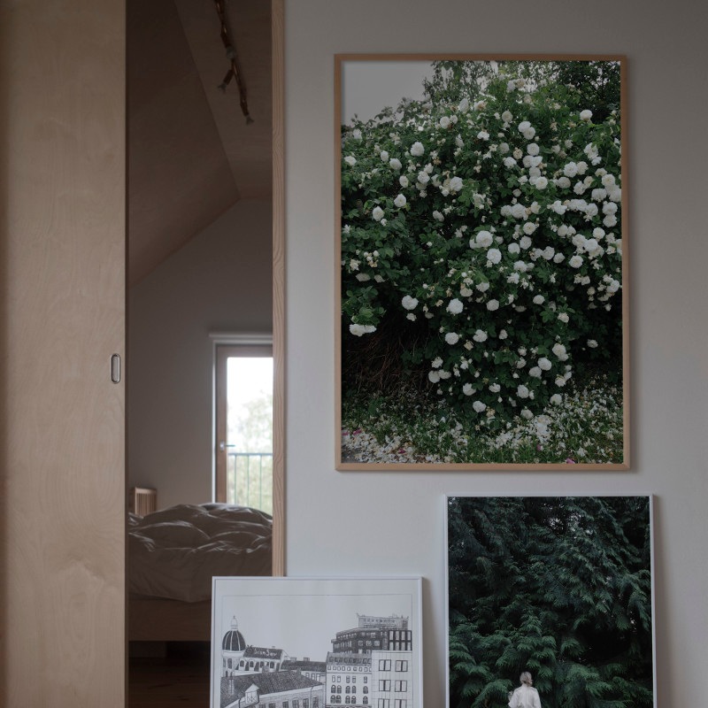 北欧モダン雑貨のオンライン通販｜nest のFine Little Day ROSES