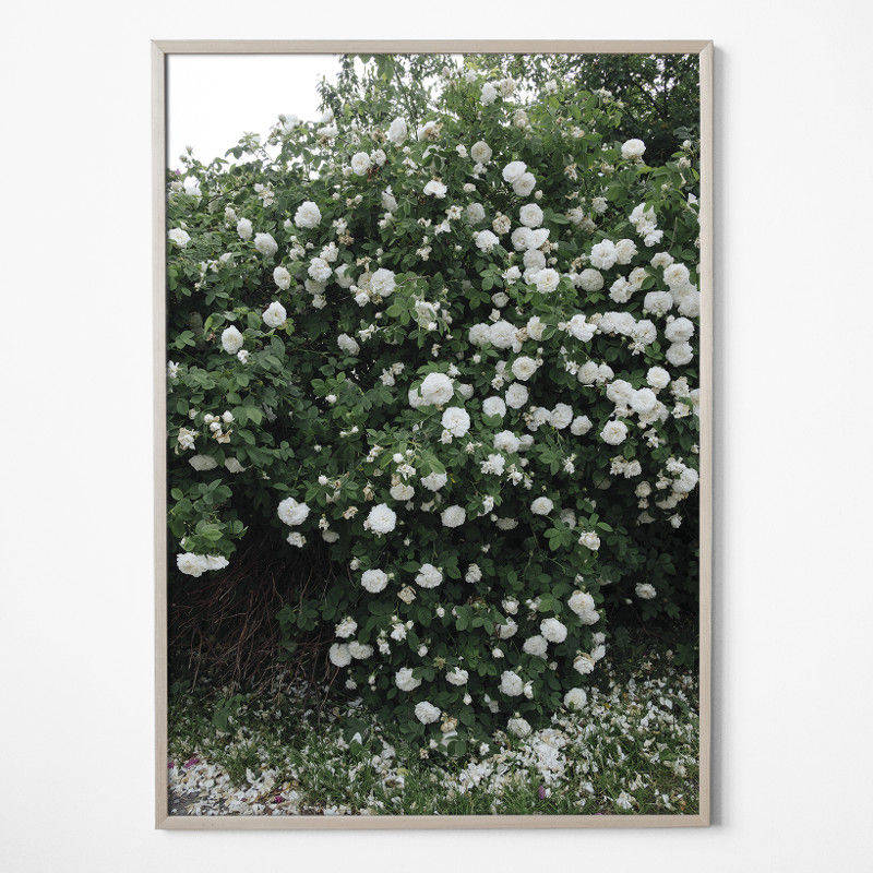 北欧モダン雑貨のオンライン通販｜nest のFine Little Day ROSES