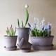 Bergs Potter ȭ Helena 졼 14cm դ ǾƤ ̲ ǥޡ