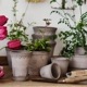 Bergs Potter ȭ Helena 졼 14cm դ ǾƤ ̲ ǥޡ