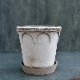 Bergs Potter ȭ Elizabeth 졼 16cm դ ǾƤ ̲ ǥޡ