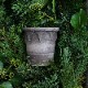 Bergs Potter ȭ Elizabeth 졼 16cm դ ǾƤ ̲ ǥޡ