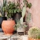 Ferm Living Bau ȭС L 28cm ߥ ١ դ ȭ եӥ ̲ ǥޡ Ź