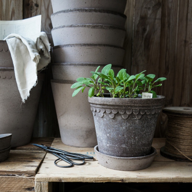 北欧モダン雑貨のオンライン通販｜nest のBergs Potter 植木鉢