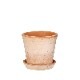 Bergs Potter ȭ Helena ʥ 14cm դ ǾƤ ̲ ǥޡ