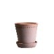 Bergs Potter ȭ Helena ʥ 14cm դ ǾƤ ̲ ǥޡ