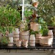 Bergs Potter ȭ Helena ʥ 14cm դ ǾƤ ̲ ǥޡ