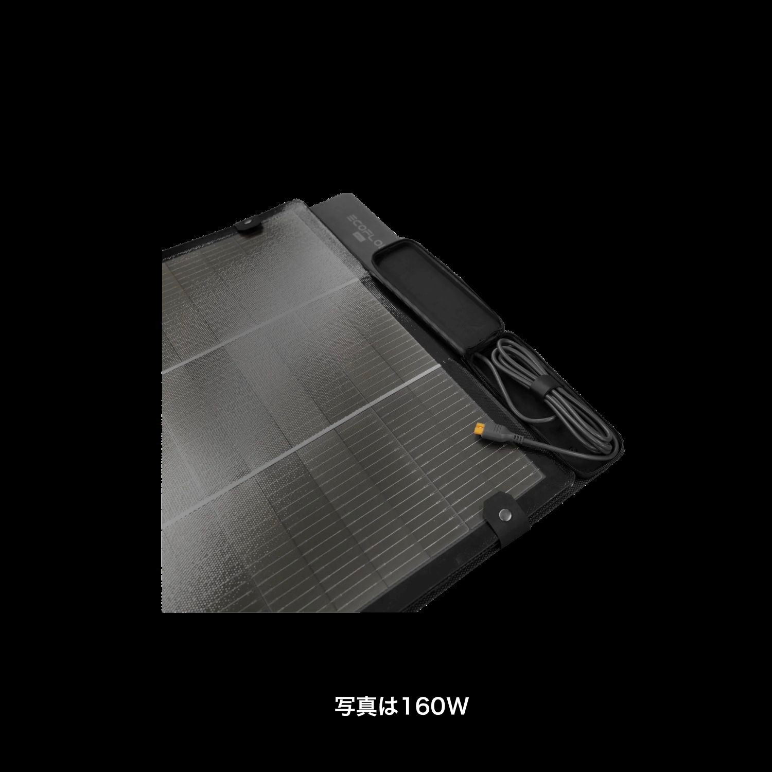 EcoFlow 220W��160W) ����ξ�̥����顼�ѥͥ��XT60i���ѡ�