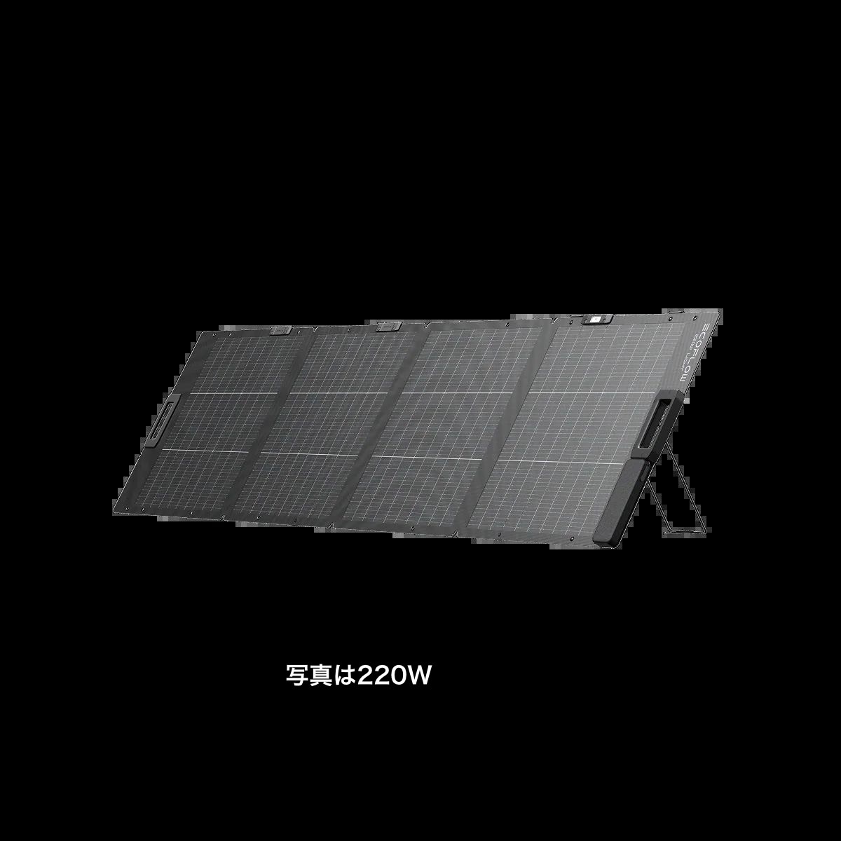 EcoFlow 220W��160W) ����ξ�̥����顼�ѥͥ��XT60i���ѡ�