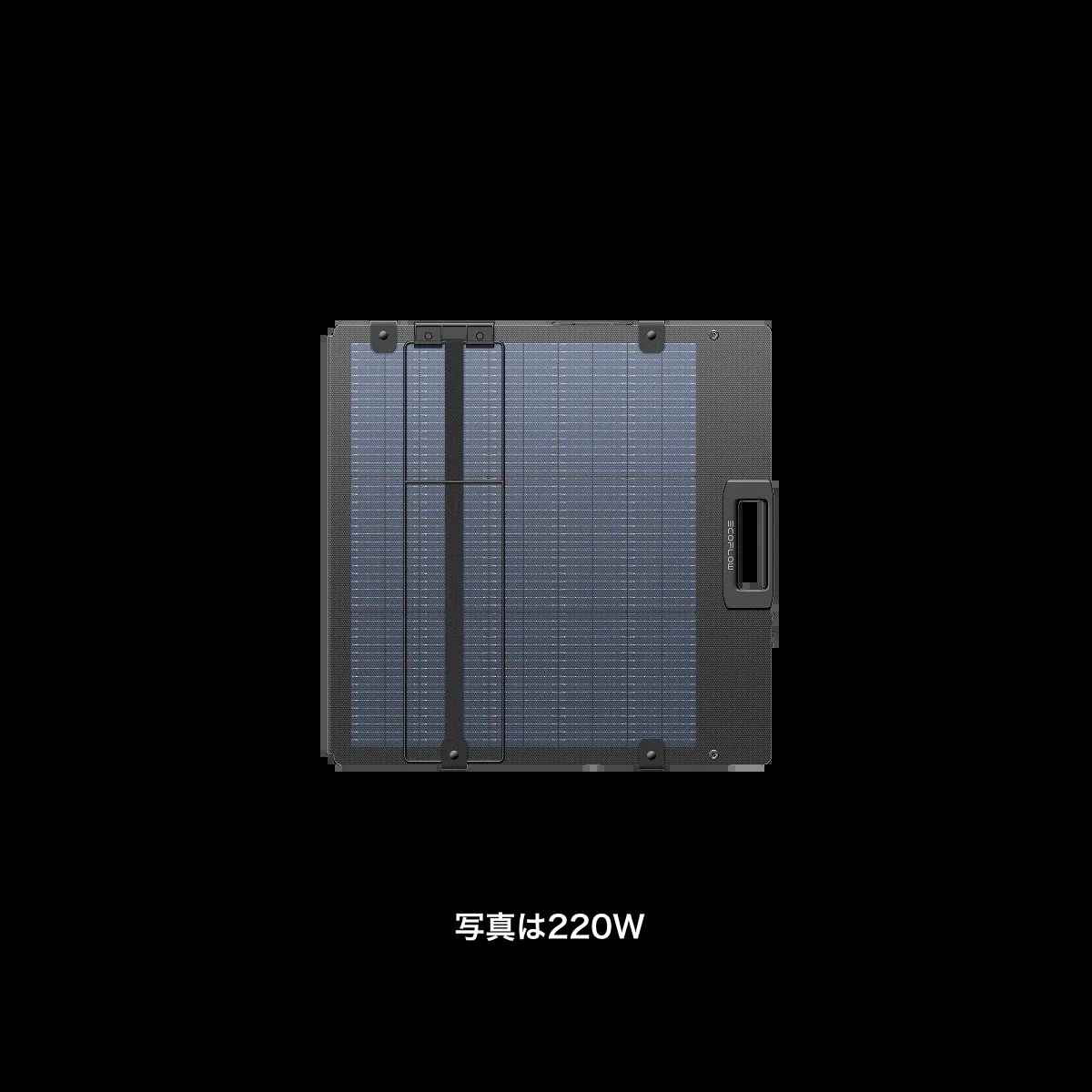 EcoFlow 220W��160W) ����ξ�̥����顼�ѥͥ��XT60i���ѡ�