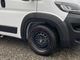 DUCATO�����ԥ󥰥����ۥ�����ʰ��ܡ�