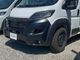 DUCATO�����ԥ󥰥����ۥ�����ʰ��ܡ�