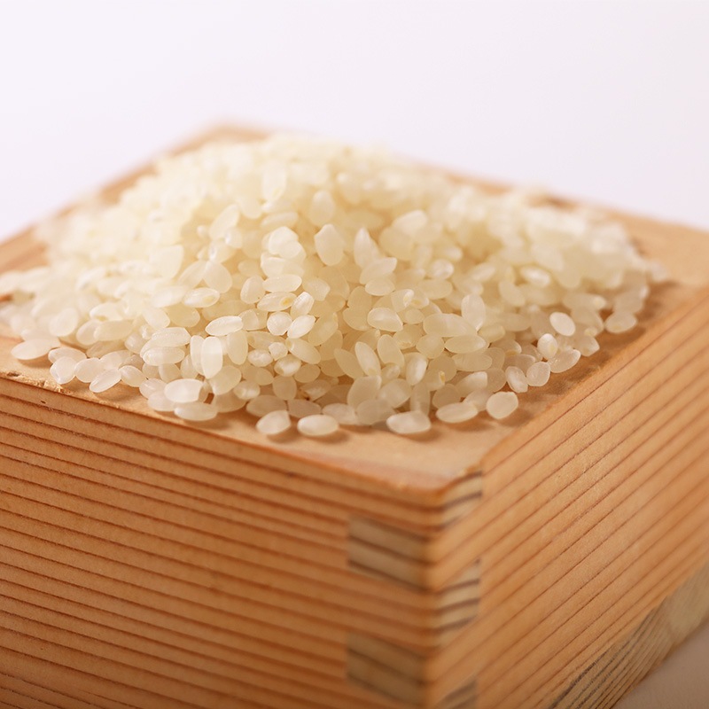 <契約農家>河北農園こしひかり 玄米 5kg <新米>