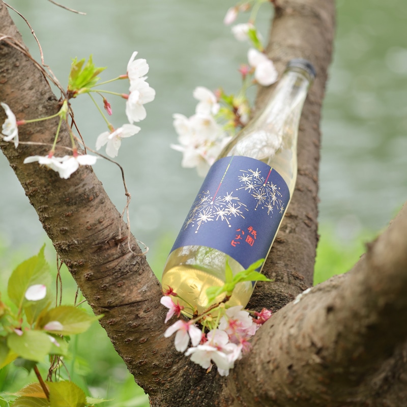 祇園ハナビ 純米酒 720ml