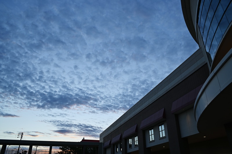 Amazon.co.jp: TTArtisan 17mm f/1.4 C ASPH Eマウント ソニーE