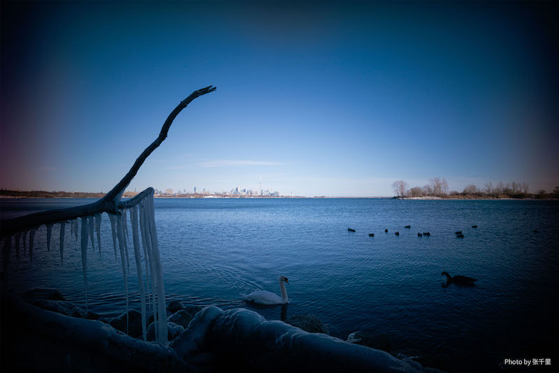 funleader 18mmライカmマウント Amazon.co.jp: FUNLEADER CAPLENS 18mm f/8.0 M Mマウント