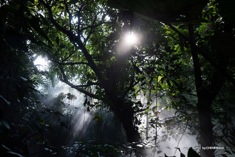 銘匠光学 TTArtisan APO-M 35mm f/2 ASPH. ライカMマウント | 焦点工房