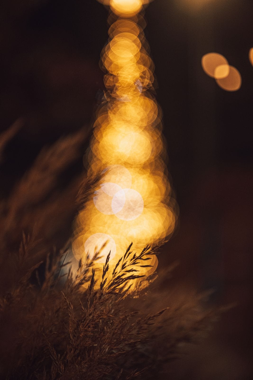 銘匠光学 TTArtisan AF 75mm f/2「E/Z/L/Xマウント」単焦点レンズ