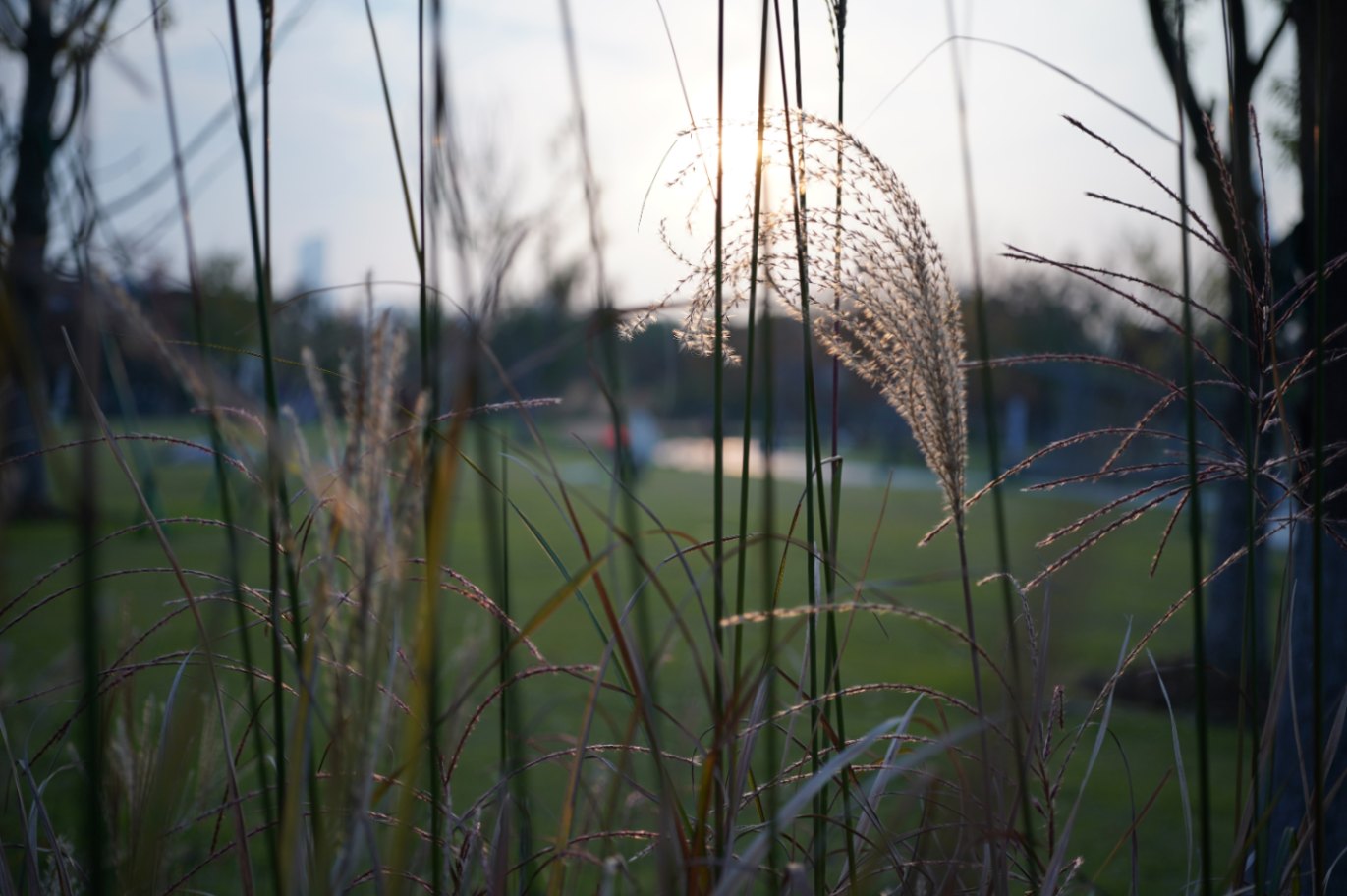 Schneider-Kreuznach APO-Componon 45mm F4.0 