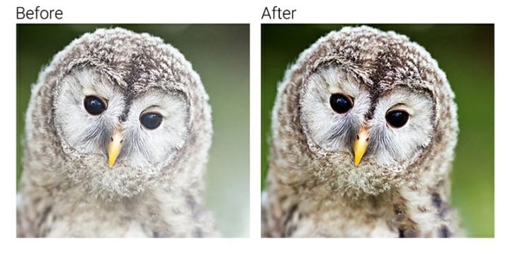 K&F Concept KF-NGX.IV（ニコンFマウント（Gタイプ対応）レンズ