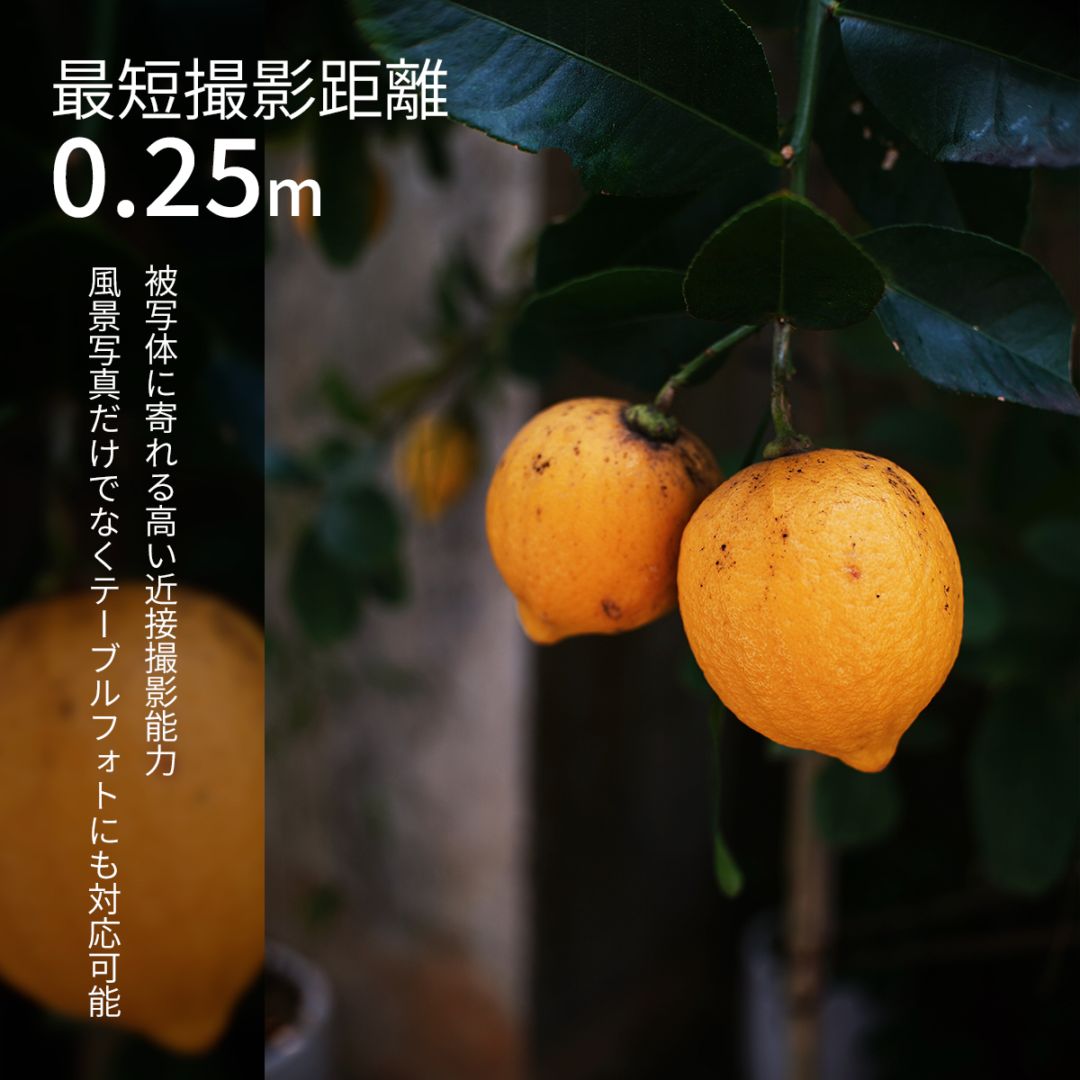 SG-image 25mm F1.8 「E/X/RF/MFT/Z マウント」大口径広角レンズ