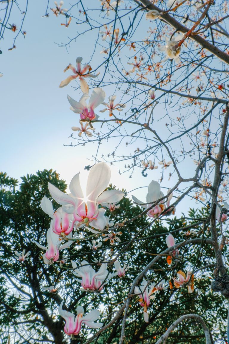 銘匠光学 TTArtisan AF 17mm f/1.8 Air「ソニーE/富士フイルムX」広角