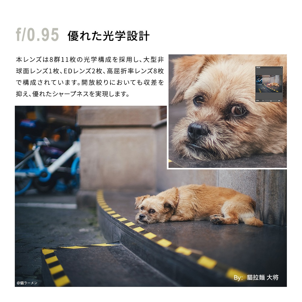 þ TTArtisan 50mm f/0.95 ASPH. 饤Mޥ ֥å ñ