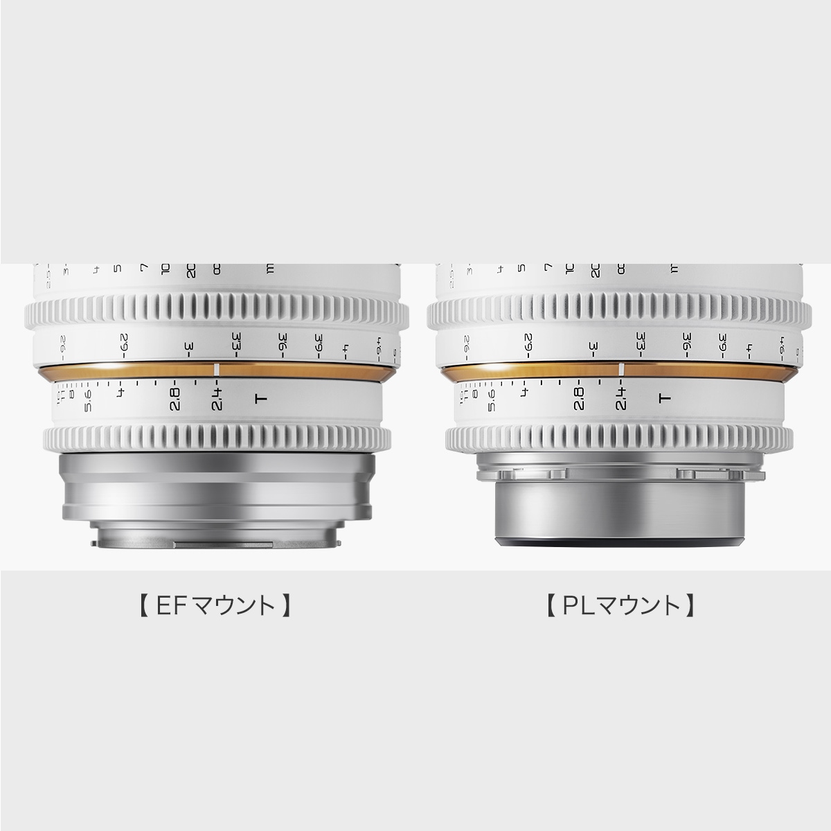 Ƕ DULENS APO MiniPrime 58mm T2.4 ͥޥ󥺡ʥۥ磻ȡ