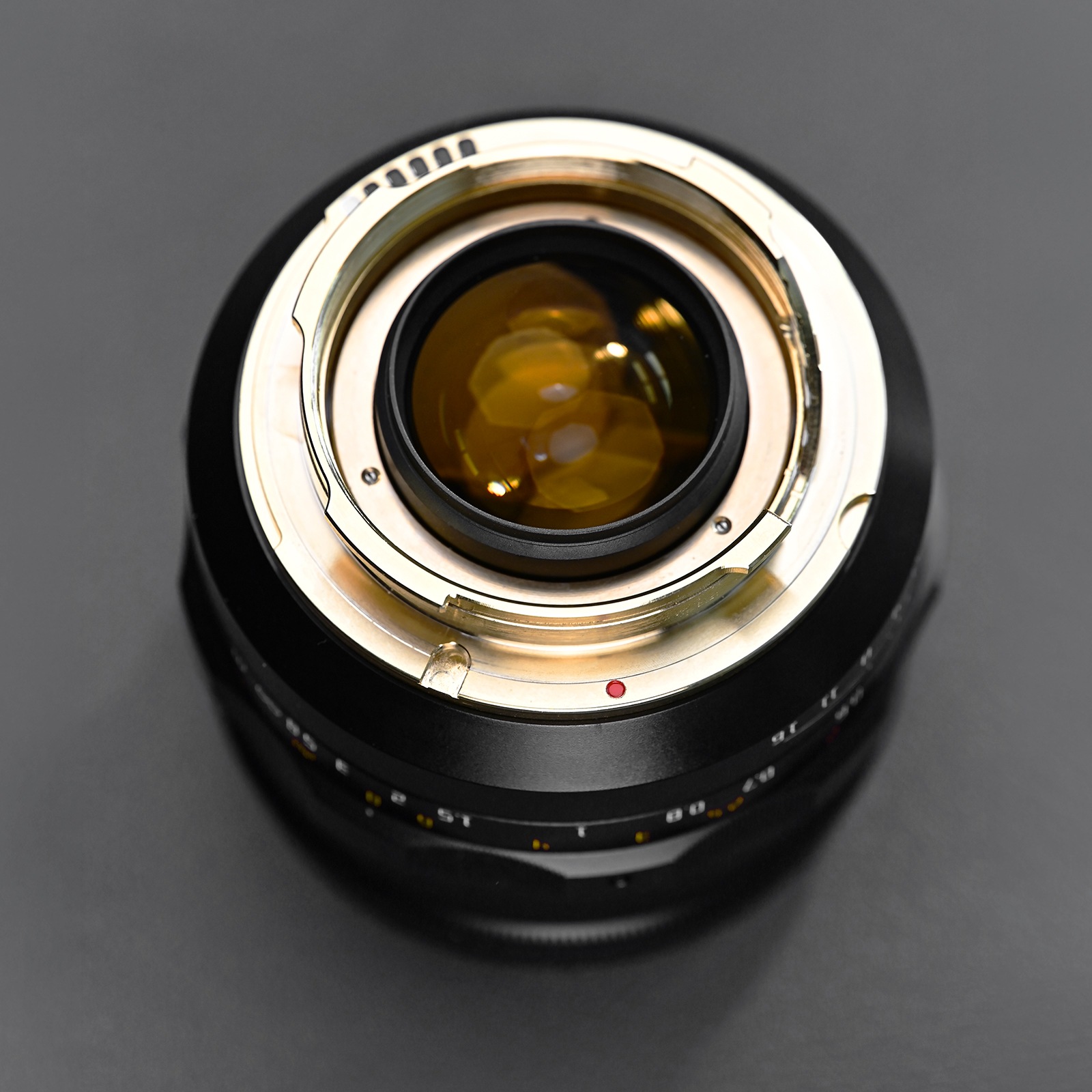 SHOTEN TRIBUTE 01 - LTM50mm f/1.1 �֥�å�/����С������ͽ�����̲��ʡ�