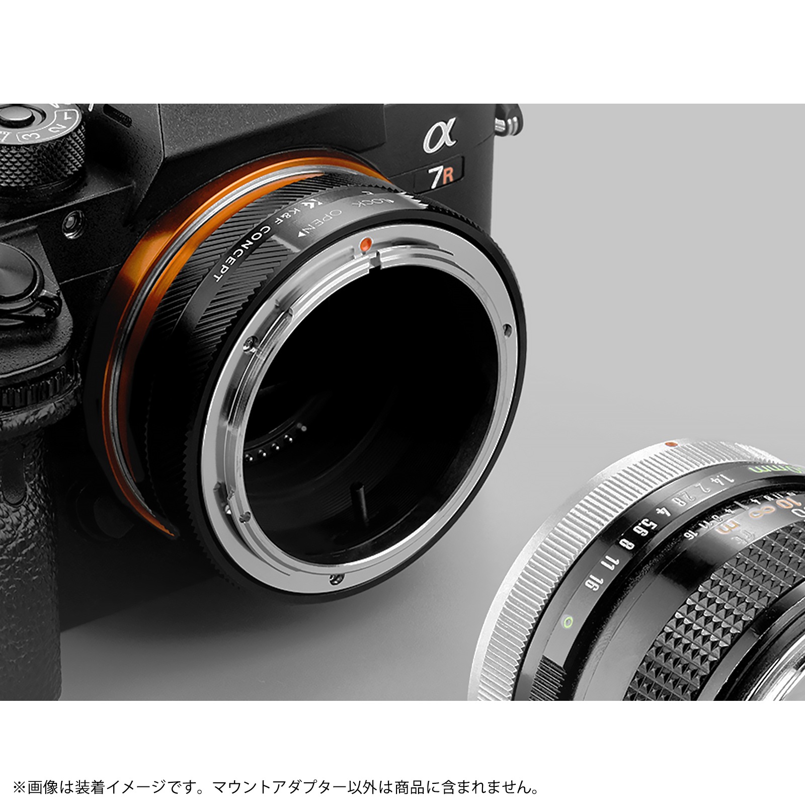 K&F Concept KF-FDE.IV�ʥ���Υ�FD�ޥ���ȥ�� �� ���ˡ�E�ޥ�����Ѵ��˥ޥ���ȥ����ץ���