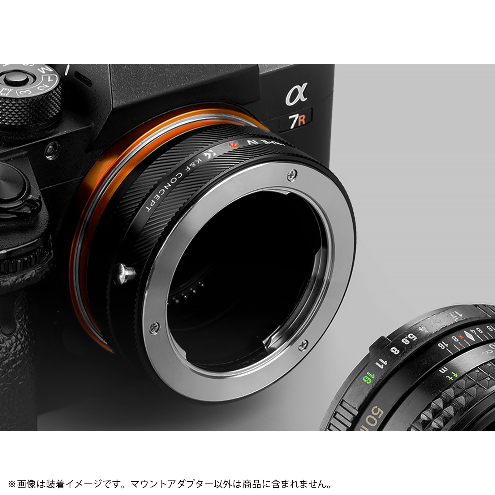 K&F Concept KF-SRE.IV�ʥߥΥ륿MD��MC��SR�ޥ���ȥ�� �� ���ˡ�E�ޥ�����Ѵ��˥ޥ���ȥ����ץ���