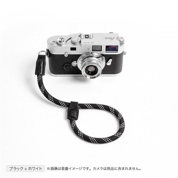 cam-in�ʥ��।��˥ϥ�ɥ��ȥ�å� DWS-001���꡼���ʥ�󥰼���դ������ס�