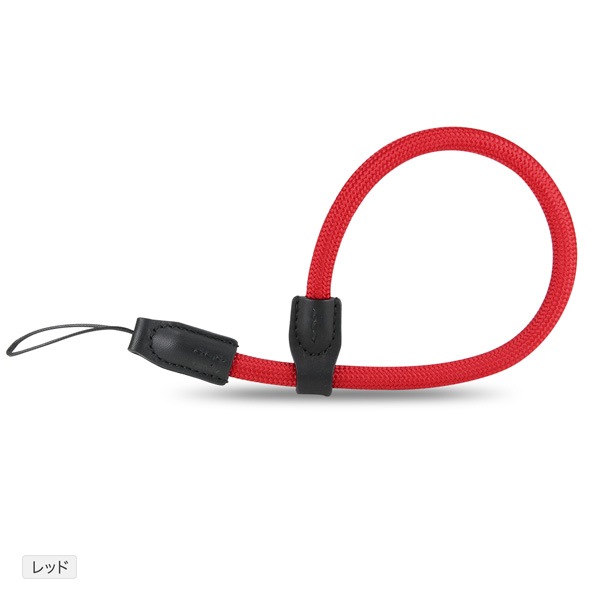 cam-inʥ।˥ϥɥȥå DWS-002꡼ɳդס