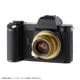 LIGHT LENS LAB M-L Macro ֥饹ɡʥ饤Mޥȥ  LޥѴ˥إꥳդޥȥץڸǥ