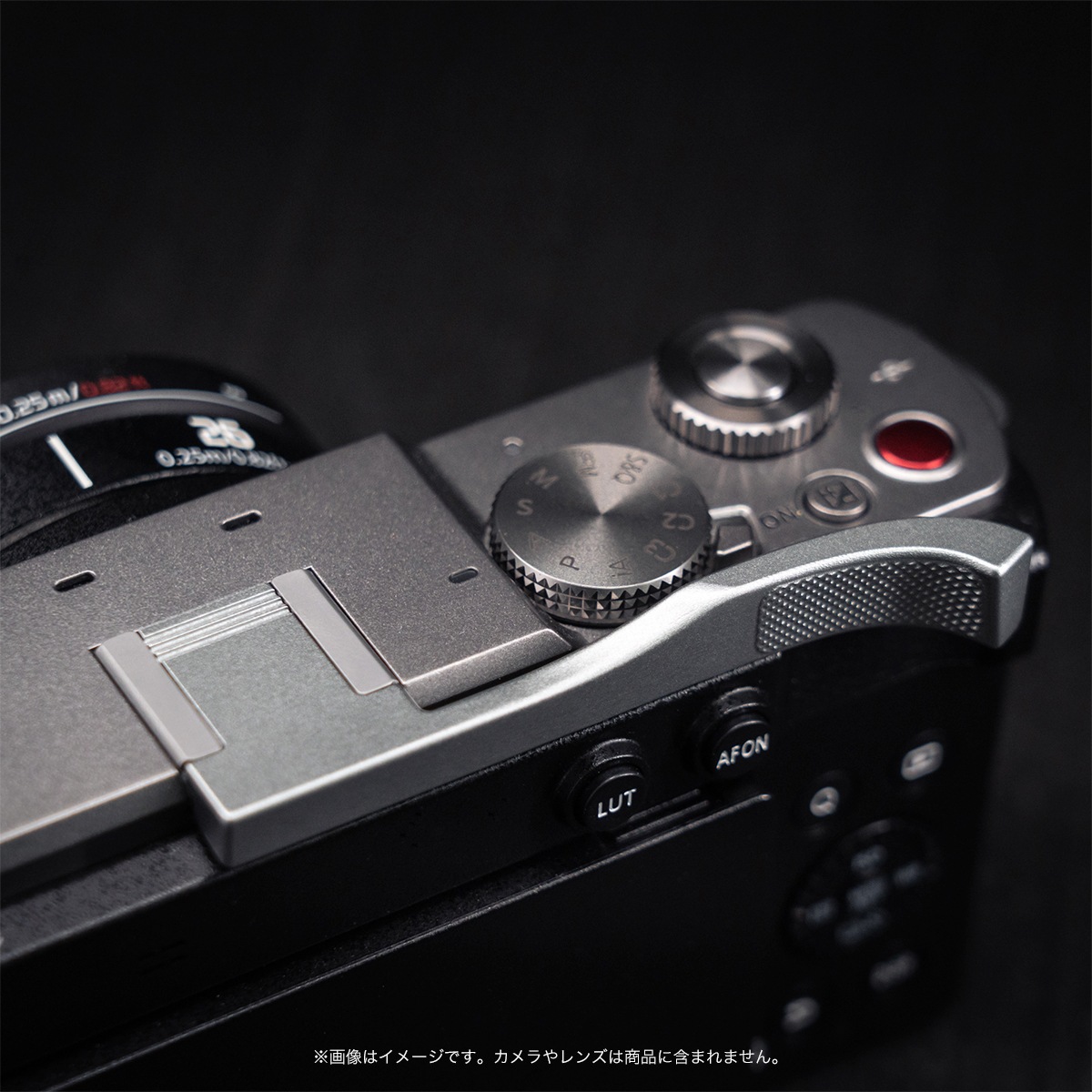 YUWOOD �ۥåȥ��塼����쥹�� Panasonic LUMIX S9 ����