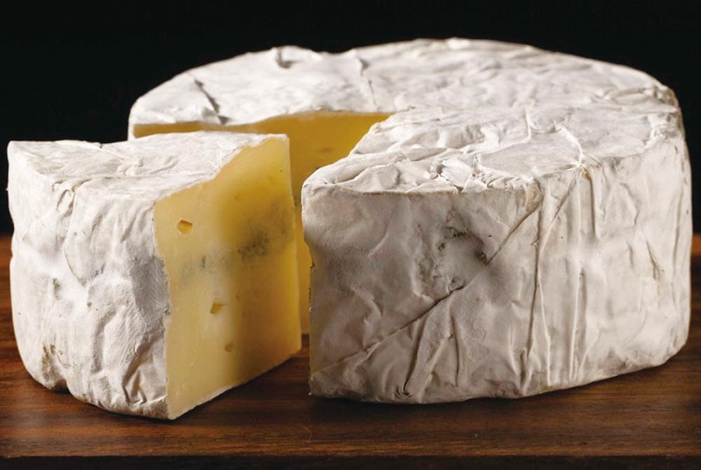 【共和町】おいこみブルー